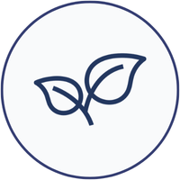 Alt Image
